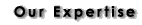 Our Expertise