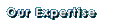 Our Expertise